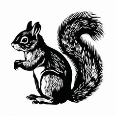 a black and white drawing of a squirrel