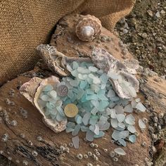 sea glass is sitting on top of a piece of driftwood