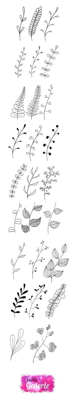 some flowers and leaves are drawn in black ink on a white paper with a pink border