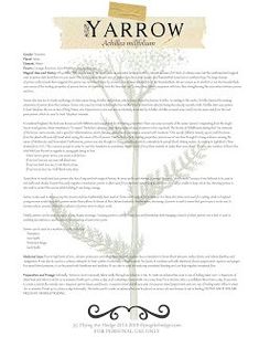 the yarrow poem is displayed on a white background