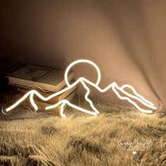 the light painting shows a person running across a field with a book in his hand