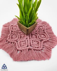 a plant in a pot on top of a pink doily with grass growing out of it