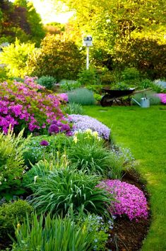 a garden filled with lots of purple and green flowers next to a lush green field