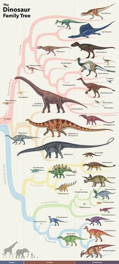 the dinosaur family is depicted in this diagram