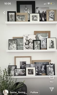 some pictures are hanging on the wall above a potted plant