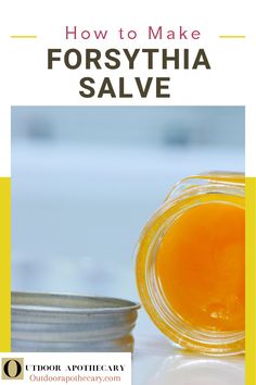 Discover the surprising uses for forsythia! Learn how to make tea, syrup, infused oil, and salve from its edible flowers and medicinal fruit in this article. Tea Syrup, Herbal Skin Care, Herbal Salves, Skin Tonic, Infused Oil, Make Tea, Oil Skin, Healthy Blood Pressure, Infused Oils