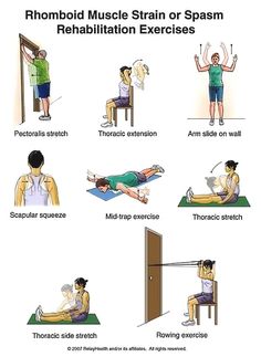 an exercise poster showing how to use the correct exercises for muscleing and stretching muscles