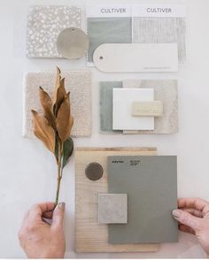 a person holding a flower next to some paint samples and other items on a table