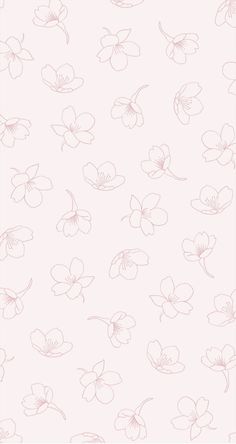 a pink wallpaper with flowers and butterflies on the back ground, as well as an outline