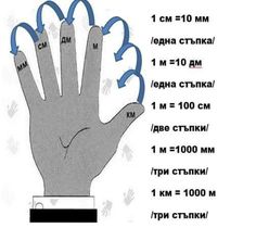 an image of a hand with five fingers