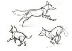 three drawings of horses running in different directions