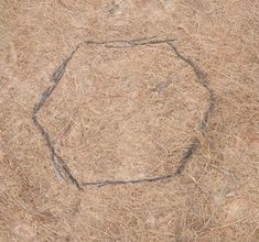 an octagonal shape drawn in the ground with straw