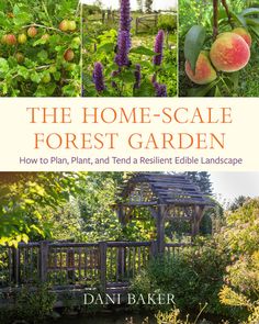 the home - scale forest garden by dan baker