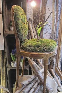 a chair covered in moss sitting on top of a wooden table