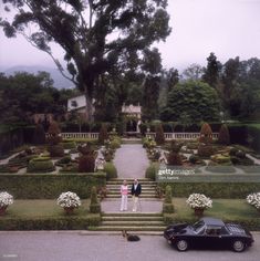 a black car parked in front of a lush green garden