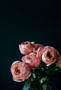 a vase filled with pink flowers on top of a table next to a black wall