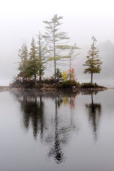 an island in the middle of a lake with trees on it and foggy sky