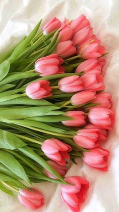 a bunch of pink tulips laying on top of each other