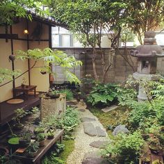 an outdoor garden with stepping stones and plants