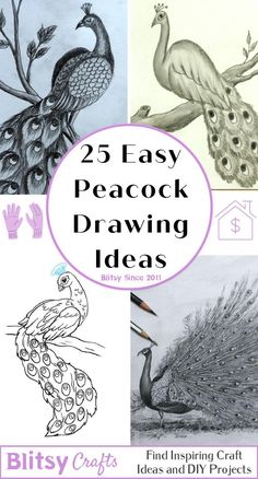 25 easy peacock drawing ideas for kids and adults to learn how to draw with pencils