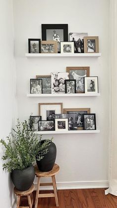 a white wall filled with pictures and plants