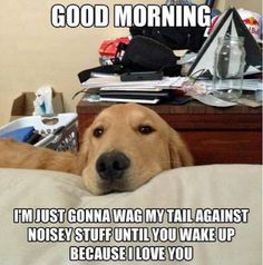 a dog laying on top of a bed with the caption'good morning, i'm just corona wag my tail against noisy stuff until you wake up because i love you