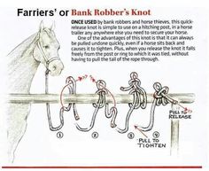 an advertisement for a horse that is tied to a rail with ropes and harnesses