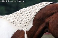 a brown and white horse with braids on it's back