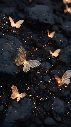 several butterflies flying in the air over rocks and water at night with lights shining on them