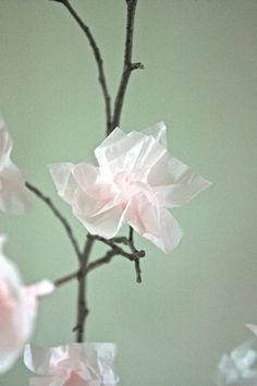 a branch with pink flowers wrapped in plastic bags