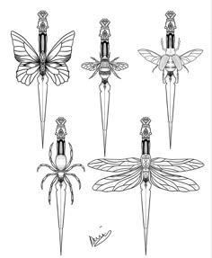 four different types of insects with wings