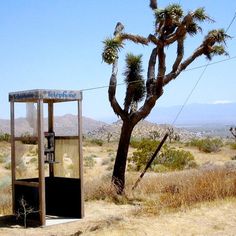 payphone in desert in the middle of nowhere in the daylight Mojave National Preserve, San Bernardino County, Telephone Booth, Desert Life, Middle Of Nowhere