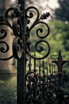 an old iron fence in the middle of a park with trees and bushes behind it