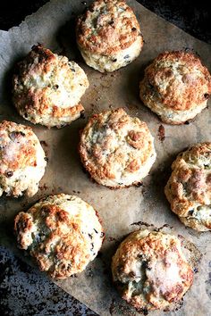 nine biscuits on a baking sheet ready to be baked in the oven or used as an appetizer