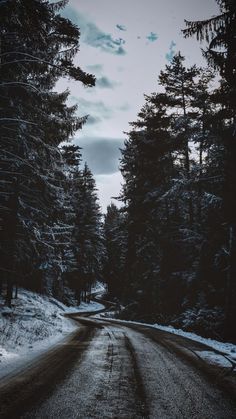 an empty road in the middle of a forest with snow and trees on both sides