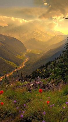 the sun shines through clouds over mountains and flowers in the foreground, with a river running between them