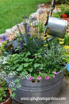 an old metal tub filled with lots of flowers next to grass and plants in pots