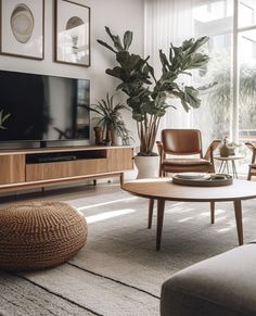 a living room filled with furniture and a flat screen tv on top of a wooden stand