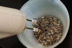 Roasting Sunflower Seeds, Shell Pumpkin, Seed Harvesting, Harvesting Sunflower Seeds, Freezing Food Storage, Growing Plants From Seeds, Shelled Pumpkin Seeds, Dried Sunflowers