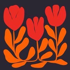 three red flowers on a black background with orange stems and leaves in the foreground