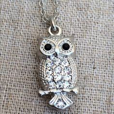 Silver Tone Pendant Necklace Features An Owl Pendant Set With Clear Crystals In The Body And Black Crystal Eyes. Owl Pendant Slides In A Link Pendant Chain With A Lobster Claw Clasp That Measures 18.5 Inches Long. Owl Measures 1 Inch L X 3/8 Inch W. Brooch Style, Crystal Eyes, Elephant Earrings, Crystal Eye, Owl Necklace, Bird Pendant, Owl Jewelry, Owl Bird, Owl Pendant