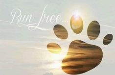 an animal paw with the words run free written on it in front of a sunset