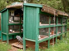 a green chicken coop with chickens in it