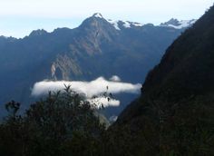 the mountains are covered with clouds and trees in the foreground, as seen from below