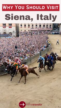 there are many people riding horses in front of an audience at a horse show with the caption why you should visit vienna, italy