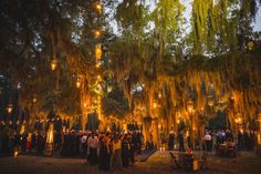 a large group of people standing in front of trees with lights hanging from it's branches