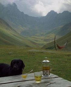 a black dog sitting on top of a wooden table next to a cup and saucer