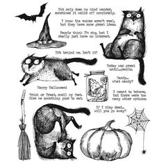 an ink drawing of halloween cats and pumpkins with words written on the front page