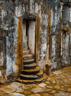 an old run down building with steps leading to the door and potted plant in front