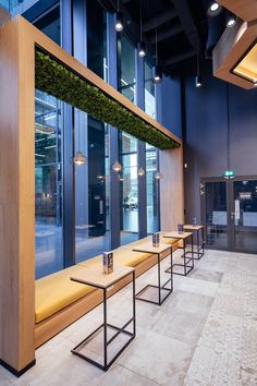 a row of benches sitting next to each other in front of a glass wall with plants growing on it